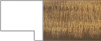 No Image Available